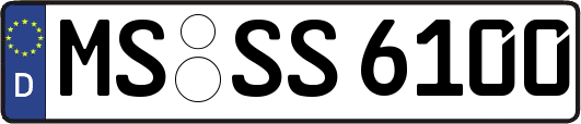 MS-SS6100