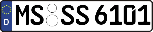 MS-SS6101