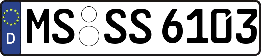 MS-SS6103