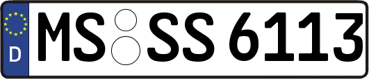 MS-SS6113