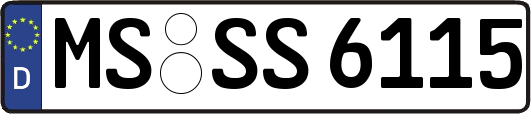 MS-SS6115