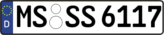 MS-SS6117