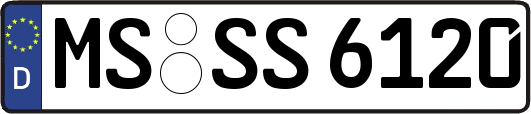 MS-SS6120