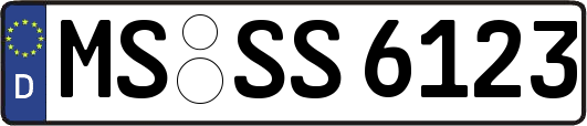 MS-SS6123