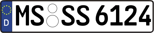 MS-SS6124