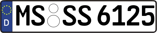 MS-SS6125