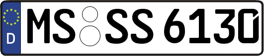 MS-SS6130