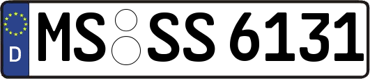 MS-SS6131