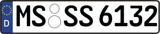 MS-SS6132