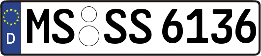 MS-SS6136
