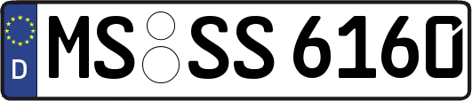 MS-SS6160