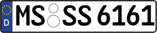 MS-SS6161