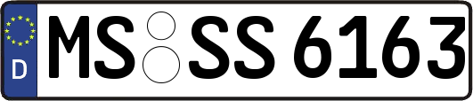 MS-SS6163