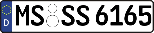 MS-SS6165