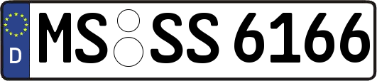 MS-SS6166