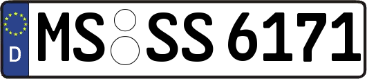 MS-SS6171