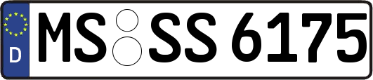 MS-SS6175