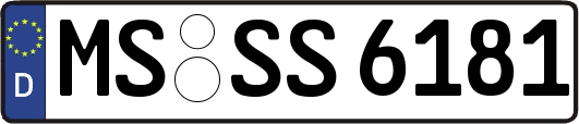 MS-SS6181