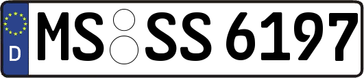 MS-SS6197