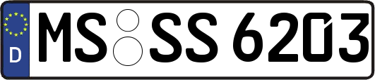 MS-SS6203