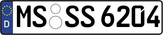 MS-SS6204