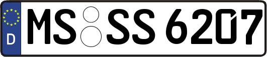 MS-SS6207