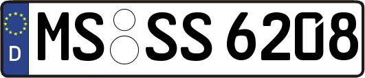 MS-SS6208