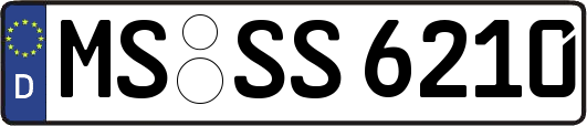 MS-SS6210