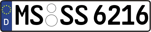 MS-SS6216