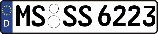 MS-SS6223