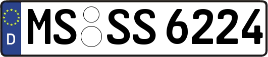 MS-SS6224