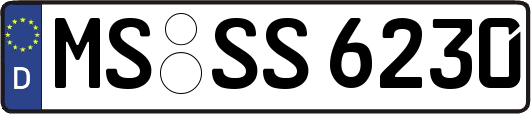 MS-SS6230