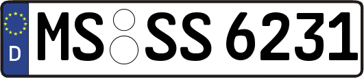 MS-SS6231