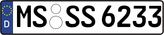MS-SS6233