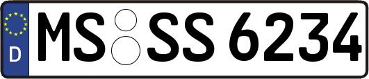 MS-SS6234