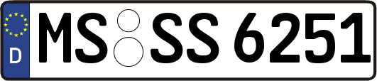 MS-SS6251