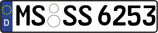 MS-SS6253
