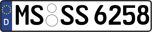 MS-SS6258