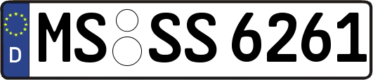 MS-SS6261