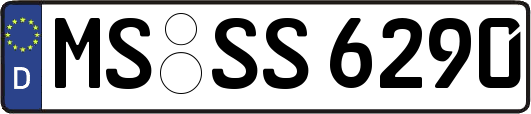 MS-SS6290