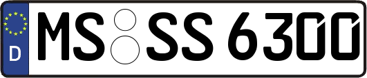 MS-SS6300
