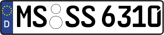 MS-SS6310