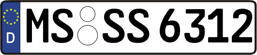 MS-SS6312