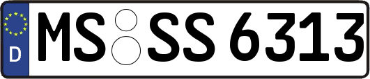 MS-SS6313