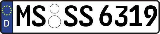 MS-SS6319