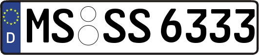 MS-SS6333