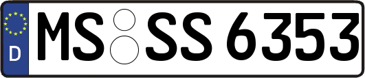 MS-SS6353