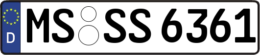 MS-SS6361