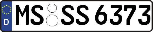 MS-SS6373