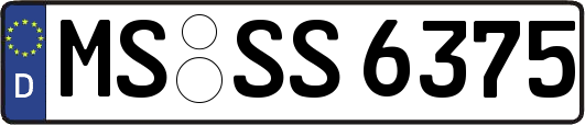 MS-SS6375